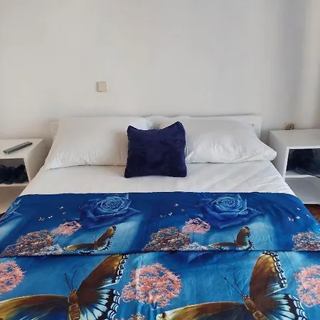 Vesna Apartment *